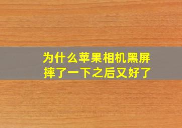 为什么苹果相机黑屏 摔了一下之后又好了